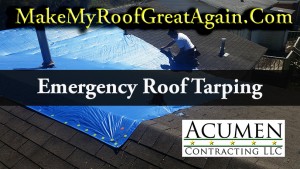Make My Roof Great Again
